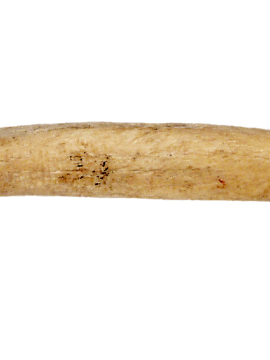 Régészet