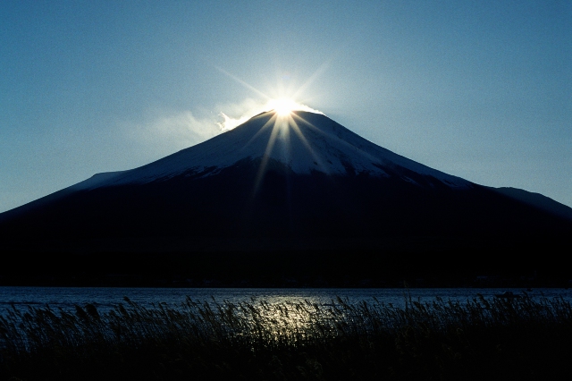 Kósa Ferenc: Fuji