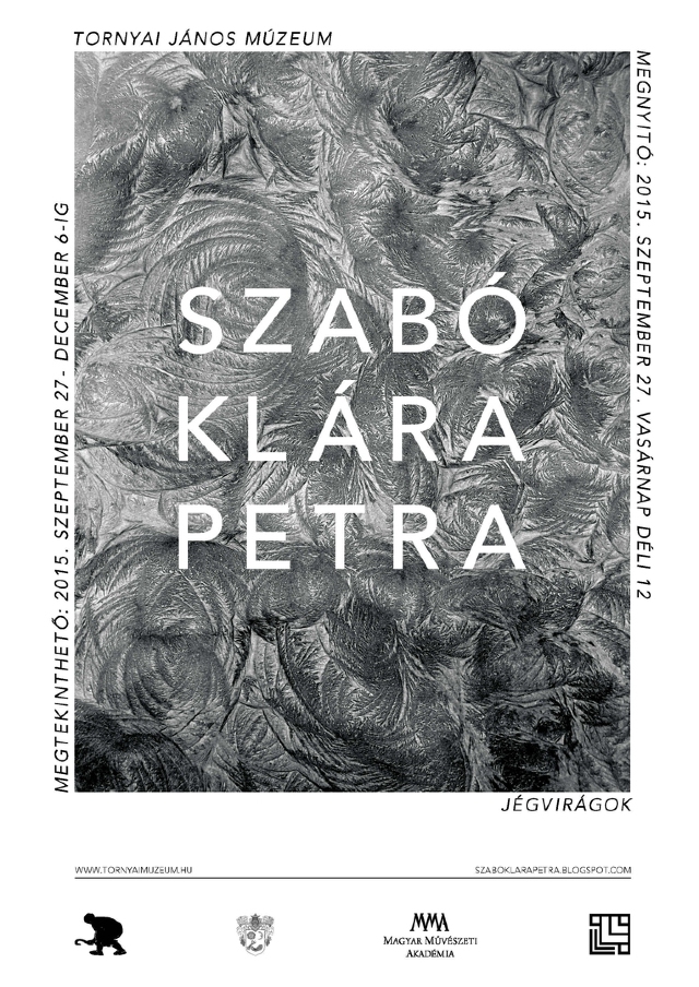 Szabó Klára Petra: Jégvirágok - plakát